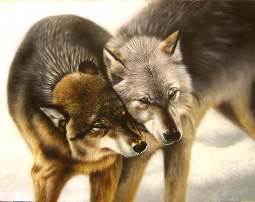 ulje na platnu, 50x60cm, 2005.